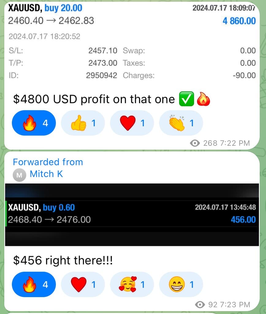 Trading profits screenshot